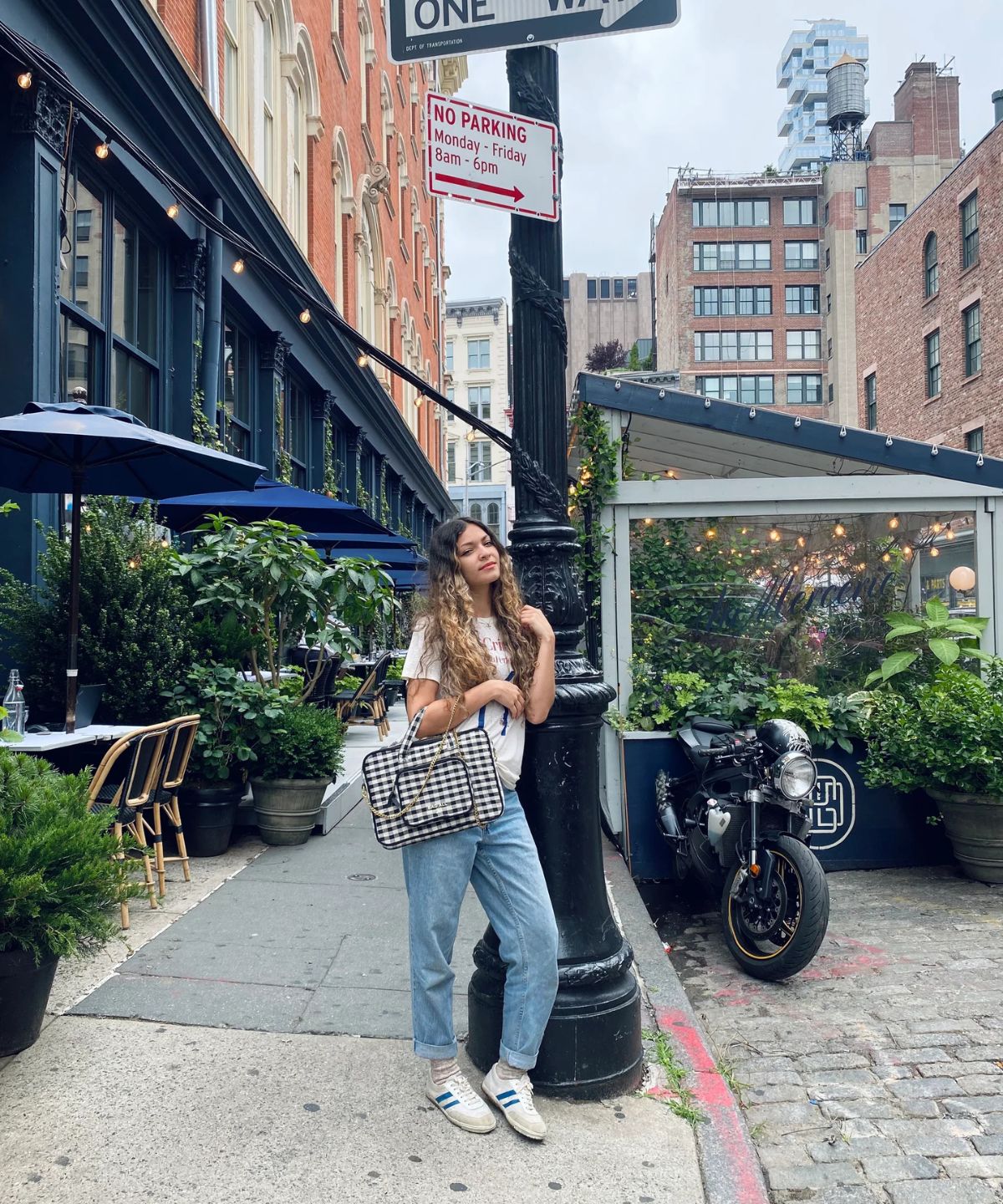 Laptop Case - Gingham