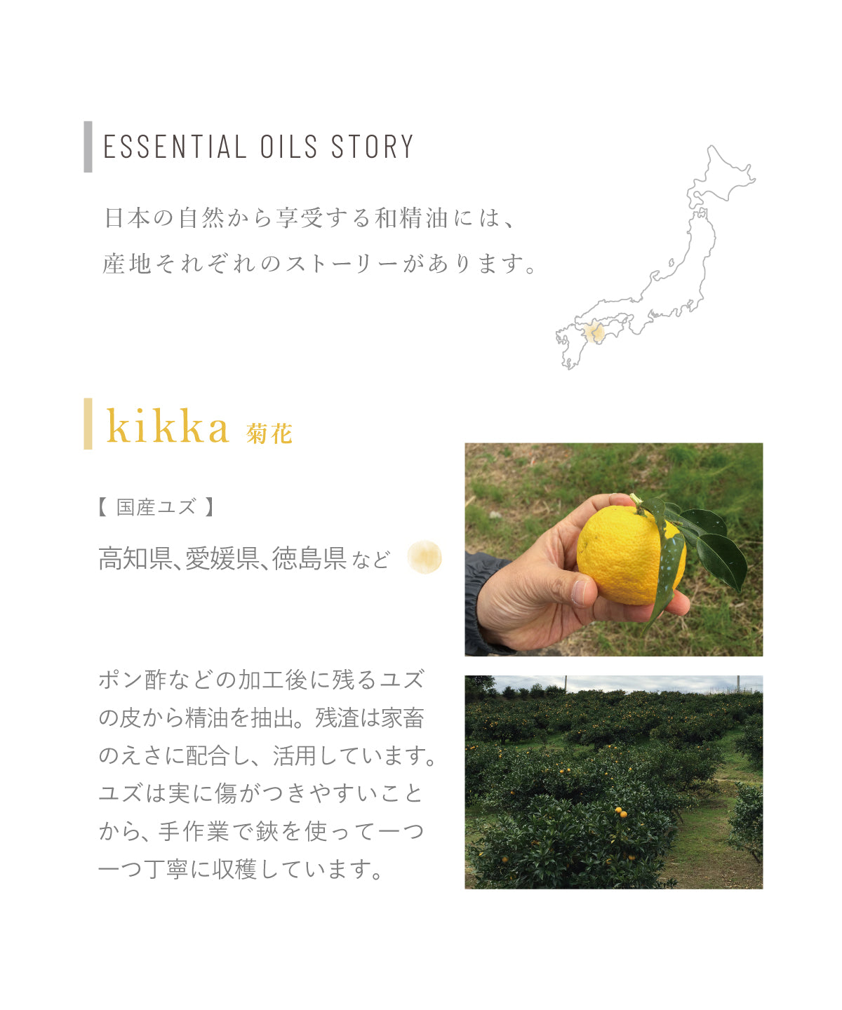 hana to mi ハーブバスソルト kikka