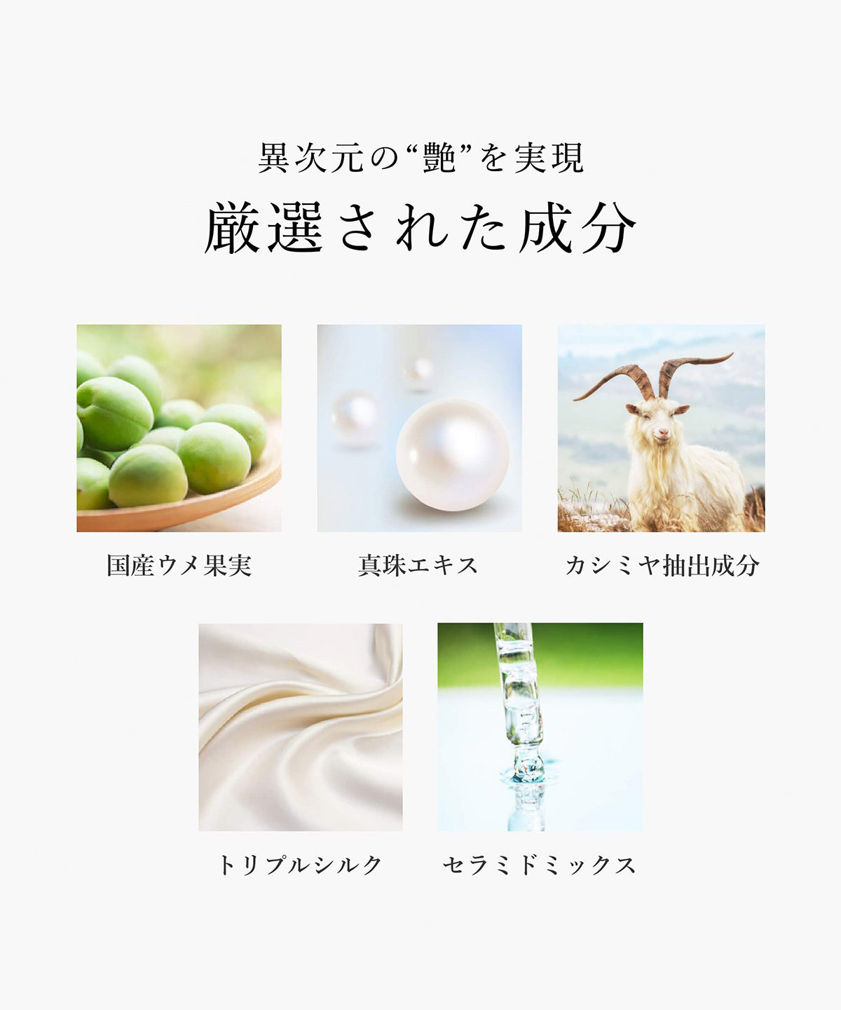 SALON TOKYO プロフェッショナルシャイン シャンプー