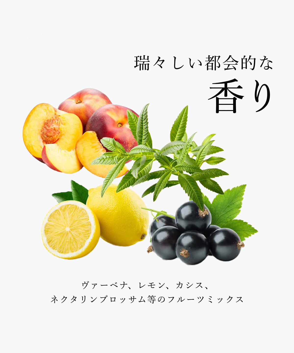 SALON TOKYO プロフェッショナルシャイン シャンプー