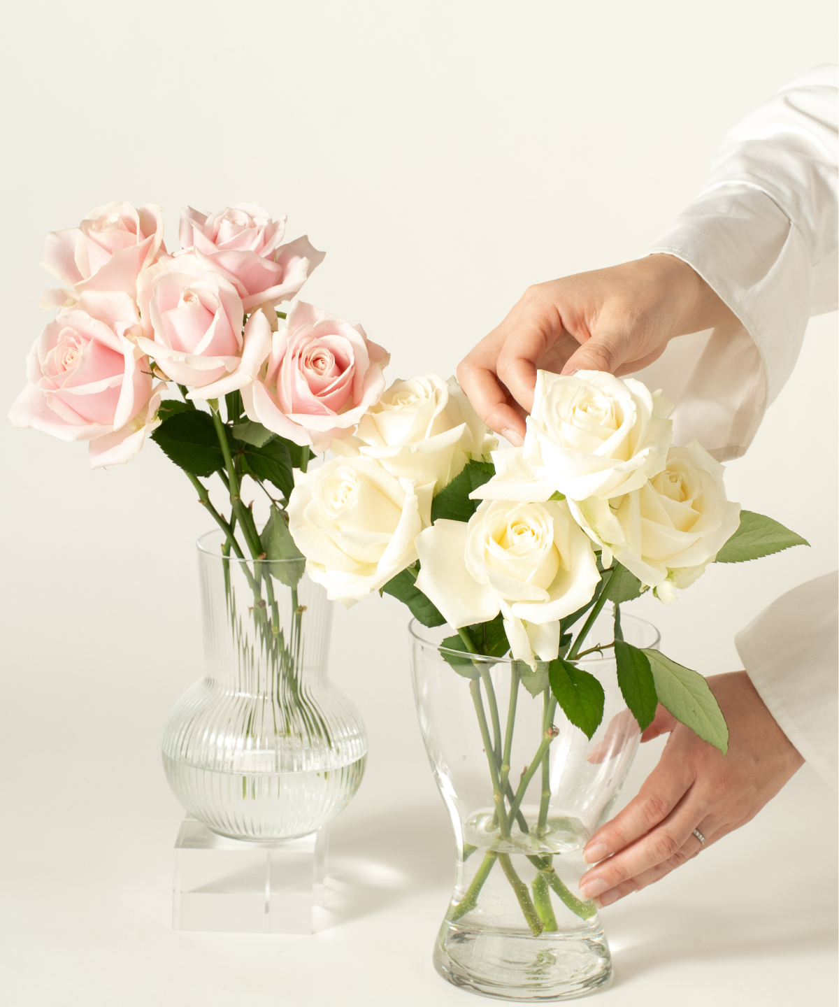 お花の定期便（送料無料）