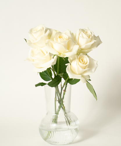 お花の定期便（送料無料）