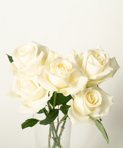 お花の定期便（送料無料）