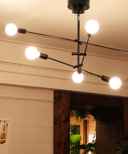 Cardinal pendant lamp - お取り寄せ品＜配送料込＞