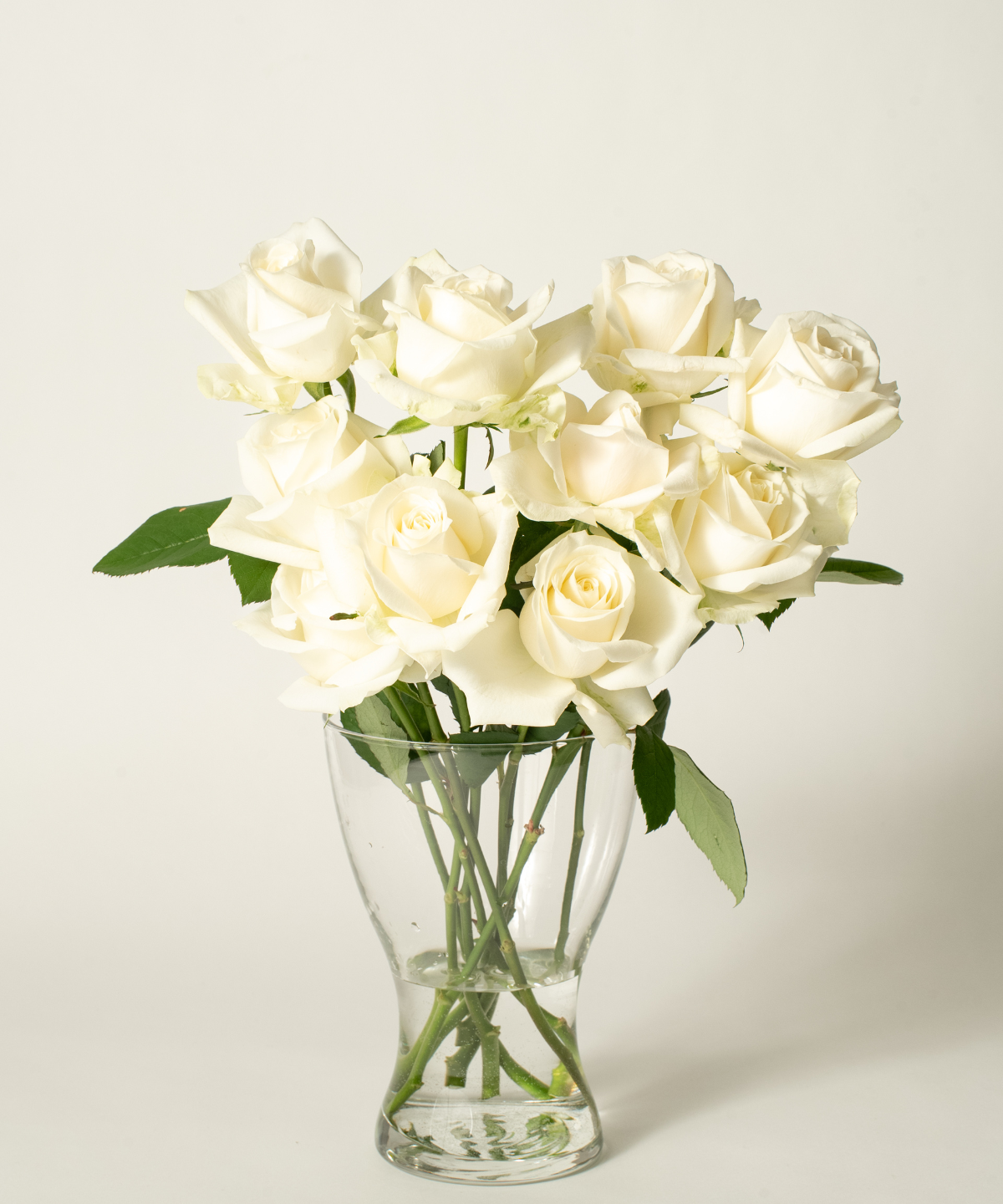 お花の定期便（送料無料）