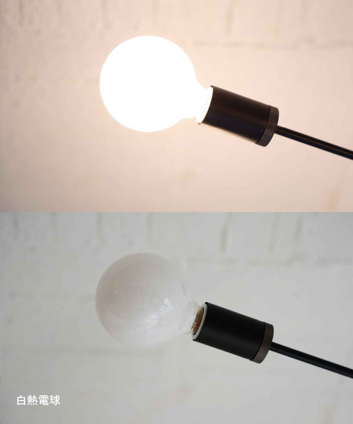 Cardinal pendant lamp - お取り寄せ品＜配送料込＞