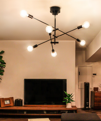 Cardinal pendant lamp - お取り寄せ品＜配送料込＞